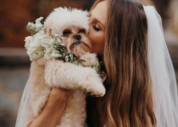 DOG WEDDING THEME